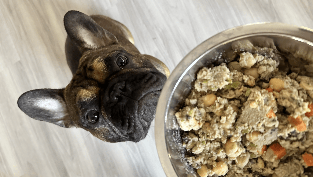 Bland Diet for Dogs: The Ultimate Guide - The Pets Table Blog